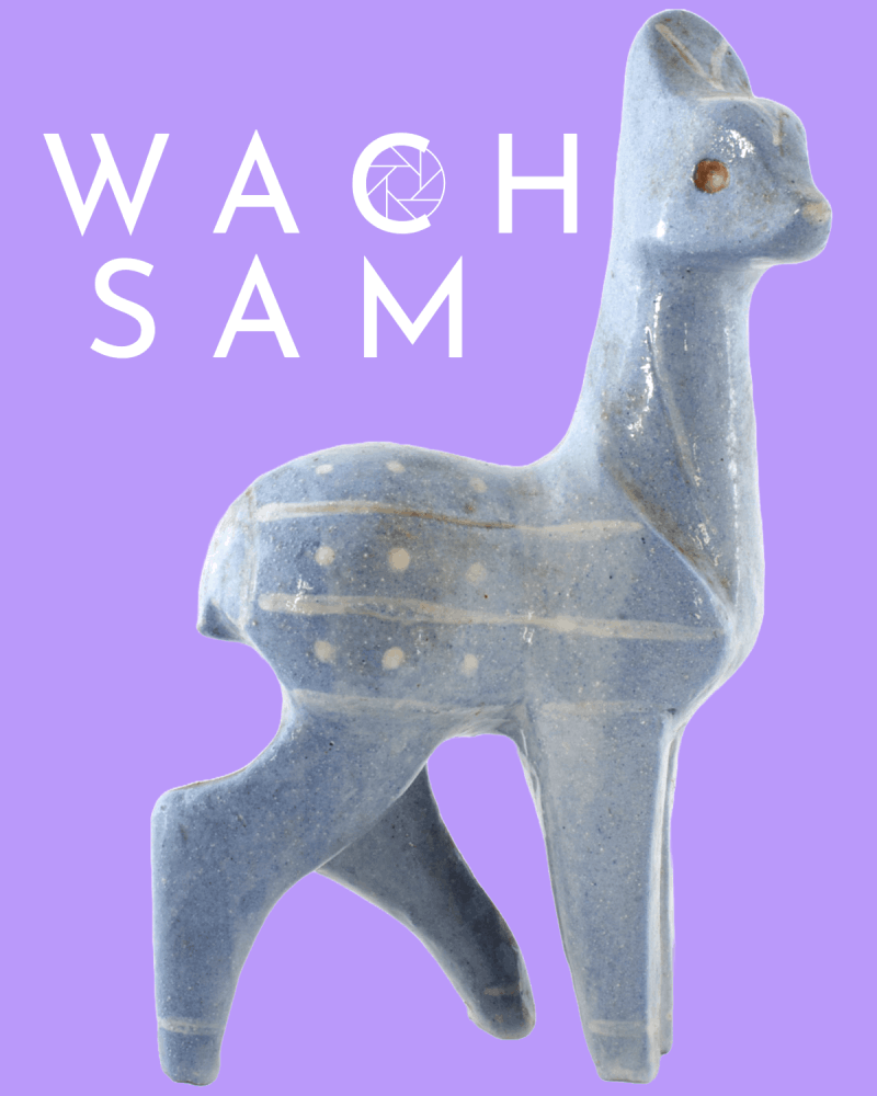 wachsam